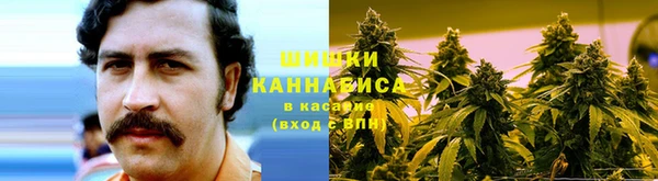 гидропоника Богданович