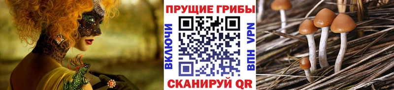 Галлюциногенные грибы Psilocybine cubensis сколько стоит Череповец